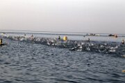 IRONBCN70320180006