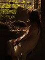 img_3796_9527324101_o