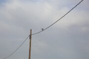 DELTA03312021