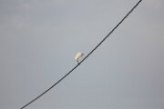 DELTA03432021