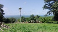 IMG_20180714_110314