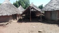 IMG_20180714_110344
